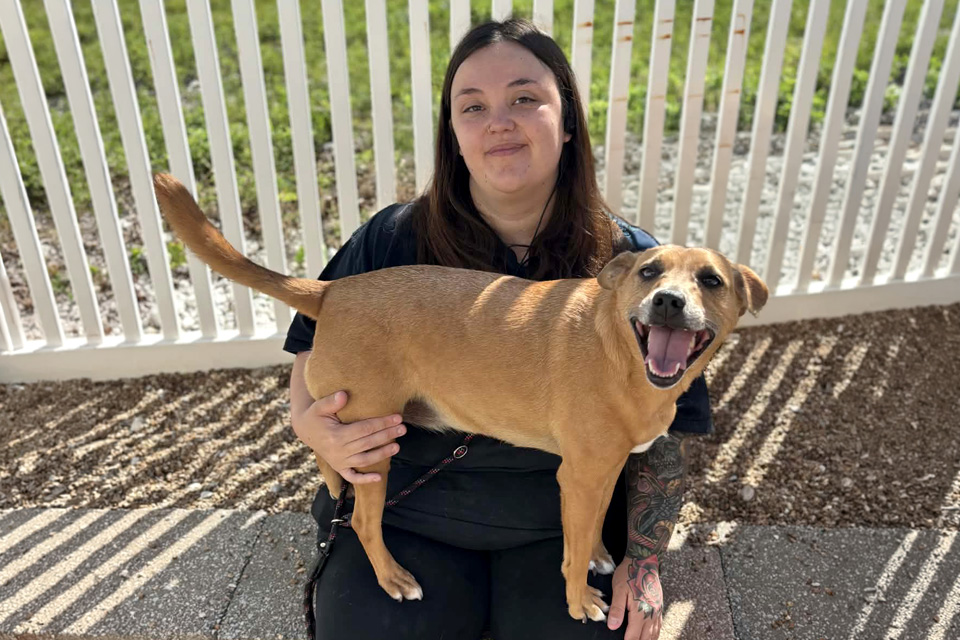 Happy Dog Spot Staff
