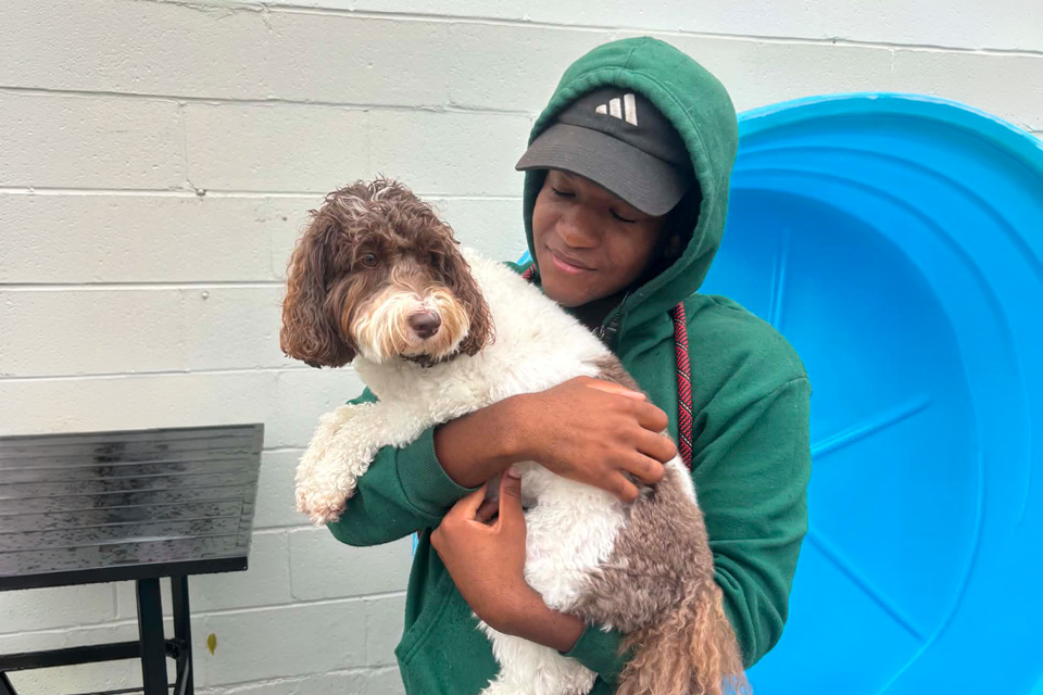 Happy Dog Spot Staff