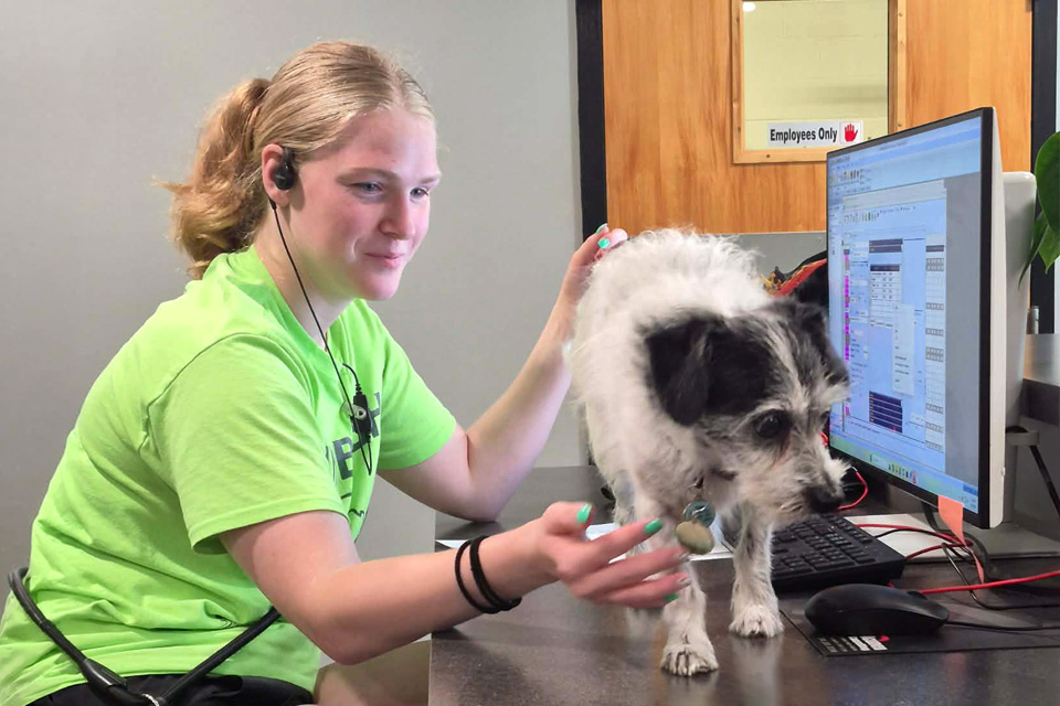 Happy Dog Spot Staff